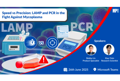 Speed vs Precision: LAMP and PCR in the Fight Against Mycoplasma