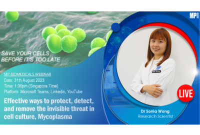 Effective ways to Protect, Detect, and Remove the Invisible Threat in Cell Culture, Mycoplasma
