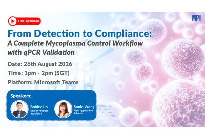 From Detection to Compliance: A Complete Mycoplasma Control Workflow with qPCR Validation