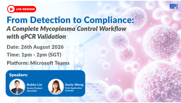 From Detection to Compliance: A Complete Mycoplasma Control Workflow with qPCR Validation