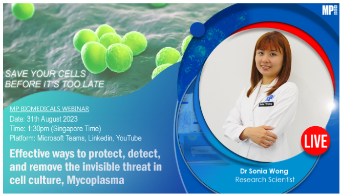 Effective ways to Protect, Detect, and Remove the Invisible Threat in Cell Culture, Mycoplasma