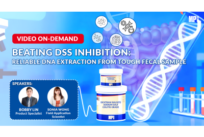 Beating DSS Inhibition: Reliable DNA Extraction From Fecal Sample