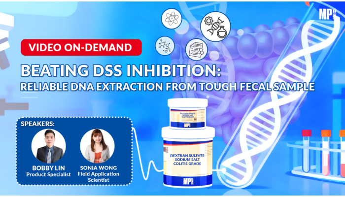 Beating DSS Inhibition: Reliable DNA Extraction From Fecal Sample