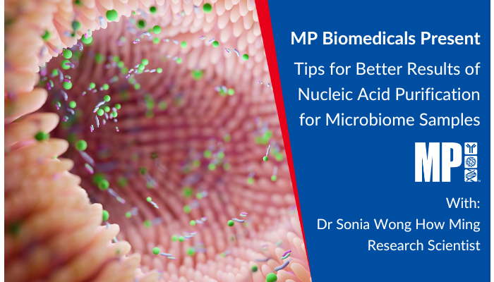 Pro-Tips for Better Results of Nucleic Acid Purification for Microbiome Samples