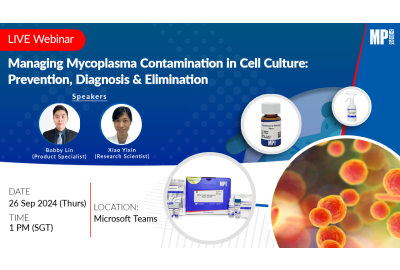 Managing Mycoplasma Contamination in Cell Culture: Prevention, Diagnosis and Elimination