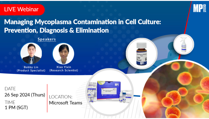 Managing Mycoplasma Contamination in Cell Culture: Prevention, Diagnosis and Elimination