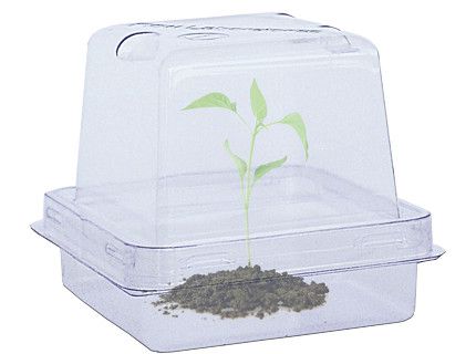 PlantCon™ Plant Container