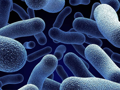 Antibiotics Antibiotics