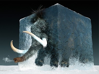 Cryopreservation Cryopreservation