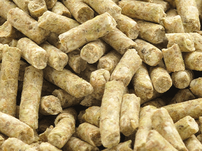 Animal Diets and Feeds Animal Diets and Feeds