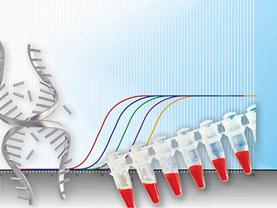 Real-Time PCR Real-Time PCR