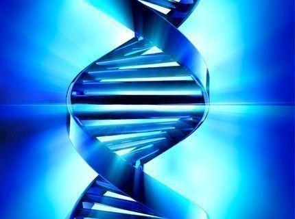 PCR & qPCR PCR & qPCR