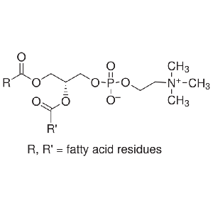 Lecithin