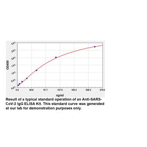 Human anti-SARS-CoV-2 IgG ELISA Kit, 96 Tests