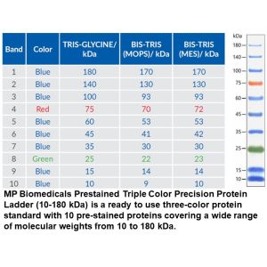 Prestained Three Color Protein Ladder (10-180 kDa, 50 µL)