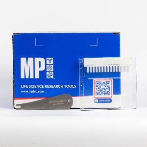 MP Bio 10 Pack of Precast Gel Plus, Tris-Gly , 10%, 15 wells