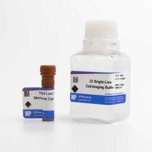 Bright-Live Cell Membrane Imaging 550R