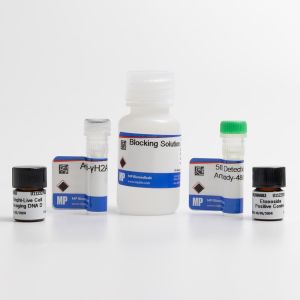 γH2AX Detection 488G