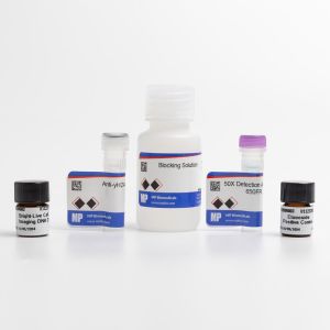 γH2AX Detection 650FR