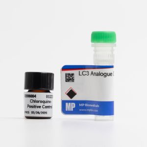 LC3 Analogue Dye