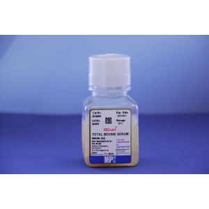 092916849-cellect-bovine-serum.jpg