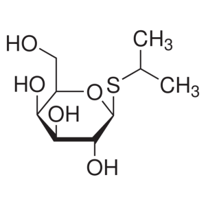 11IPTG0001.png