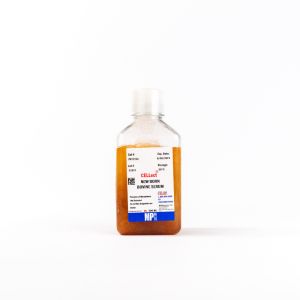 Serum, newborn bovine (NBS)Â