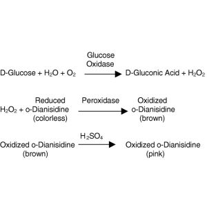 Glucose oxidase, >100 U/mg, 50 KU