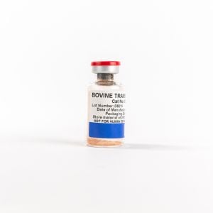 NZ Bovine Transferrin (Holo), Heat Treated