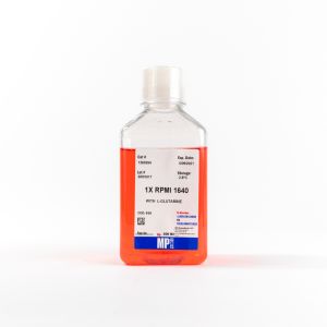 1X RPMI 1640 Medium