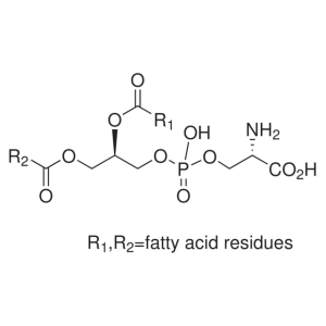 Phosphatidyl-L-serine
