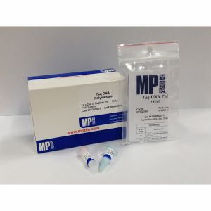 Product image of MP Bio's Taq DNA polymerase (5 U/µL)