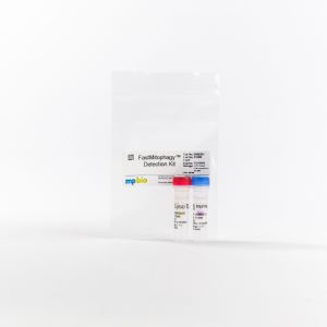 FastMitophagy™ detection kit, 1 kit