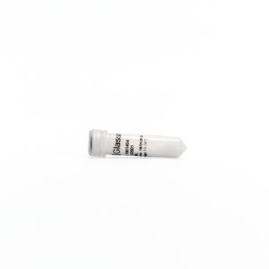 Glassmilk® silica matrix