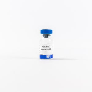 Purified Bovine IgG, 50 mg