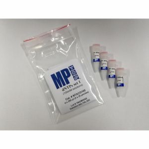 dNTP set comes with 4 separate vials (100 mM each) for dATP, dCTP, dGTP, and dTTP