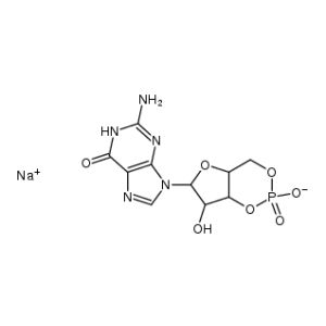 Guanosine-3',5'-cyclic-monophosphate, 25 mg