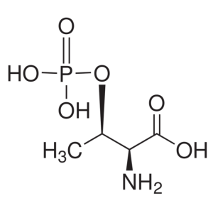 O-Phospho-L-threonine