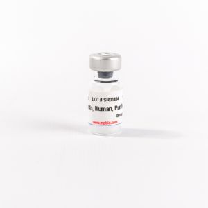 Purified Human Fibronectin, 1 mg
