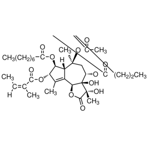 Thapsigargin