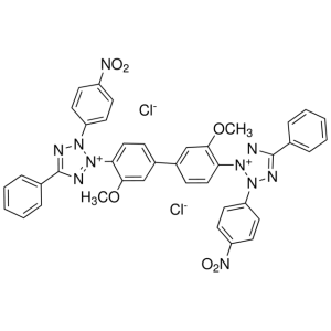 P-Nitro blue tetrazolium chloride, molecular biology reagent
