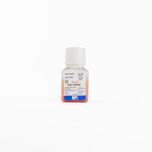 Serum, goat