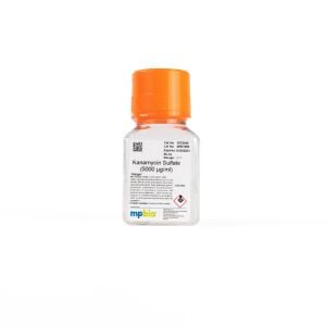 Kanamycin (5000 µg/mL), 50 mL