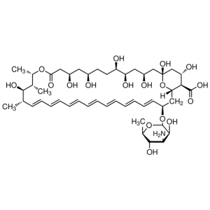 Amphotericin-B (250 µg/mL)