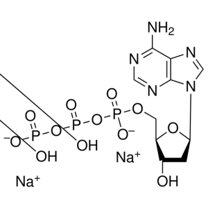 2'-Deoxyadenosine-5'-triphosphate, 25 mg