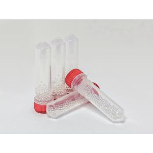 Lysing Matrix C in 2 mL tubes