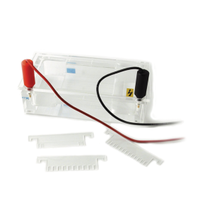 minicuve 8 10 electrophoresis