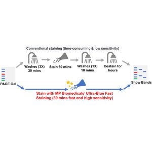 Ultra-Blue Fast PAGE Gel Staining Solution