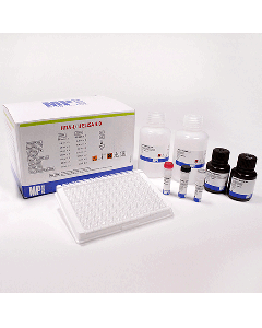 HTLV-I/II ELISA 4.0 (RUO)