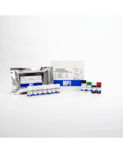 T3 (Total) ChLIA Kit